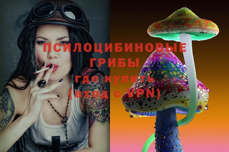 Псилоцибиновые грибы Psilocybe  kraken   Калязин  как найти наркотики 